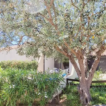 Village Naturiste Cap D'agde Zenitude 41 *